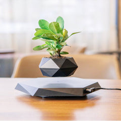Levitating Magnetic Plant Pot - Covaura