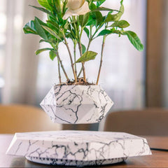 Levitating Magnetic Plant Pot - Covaura