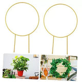 2 Pack Circle Trellis for Climbing Plants Indoor, 15" Gold Small Plant Trellis