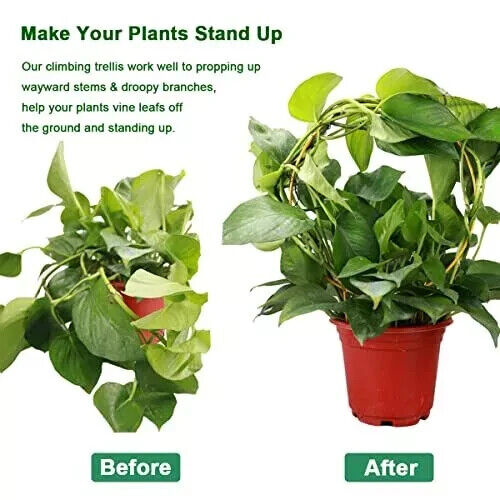 2 Pack Circle Trellis for Climbing Plants Indoor, 15" Gold Small Plant Trellis