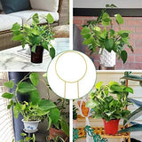 2 Pack Circle Trellis for Climbing Plants Indoor, 15" Gold Small Plant Trellis