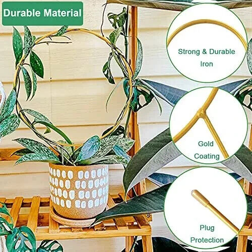2 Pack Circle Trellis for Climbing Plants Indoor, 15" Gold Small Plant Trellis
