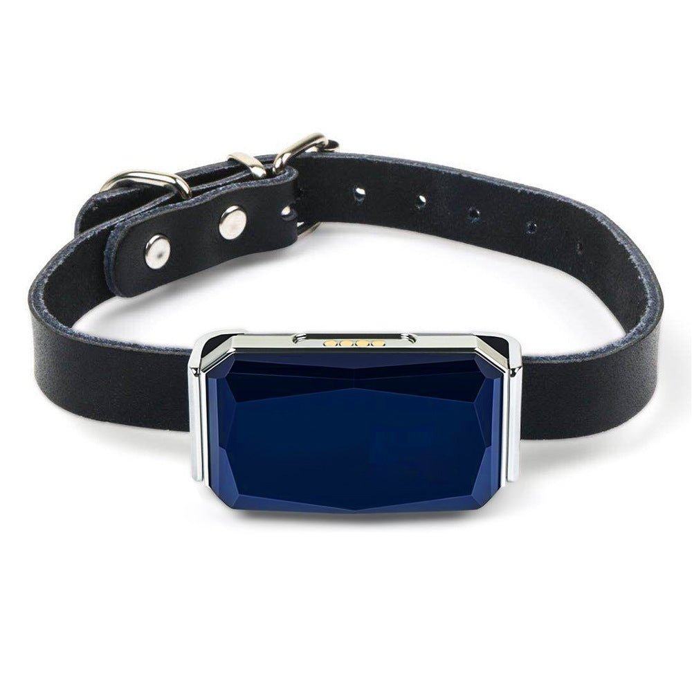 GPS Pet Activity Tracker Collar Tag - Covaura