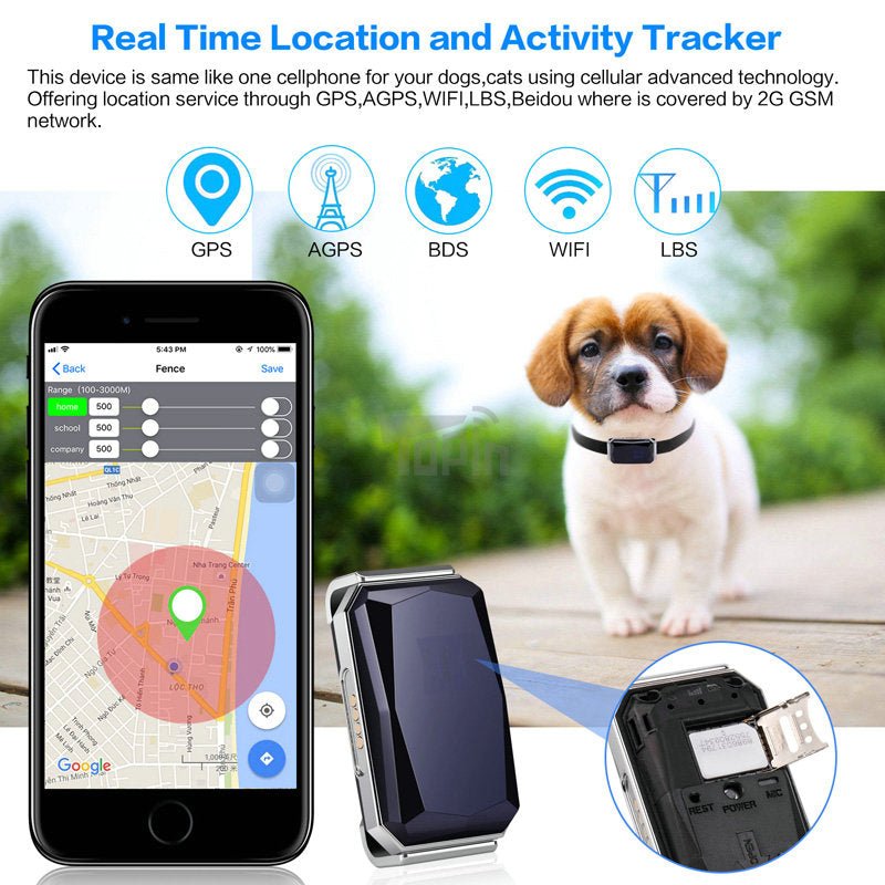 GPS Pet Activity Tracker Collar Tag - Covaura