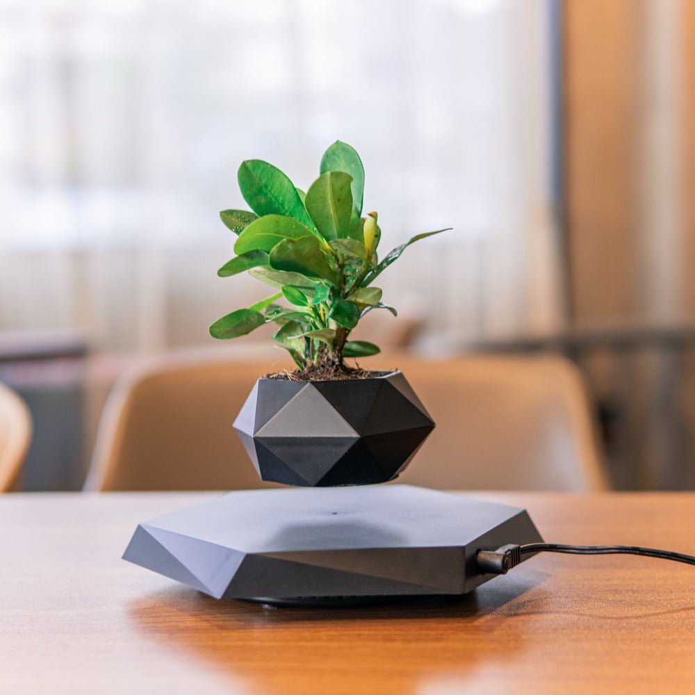 Levitating Magnetic Plant Pot - Covaura
