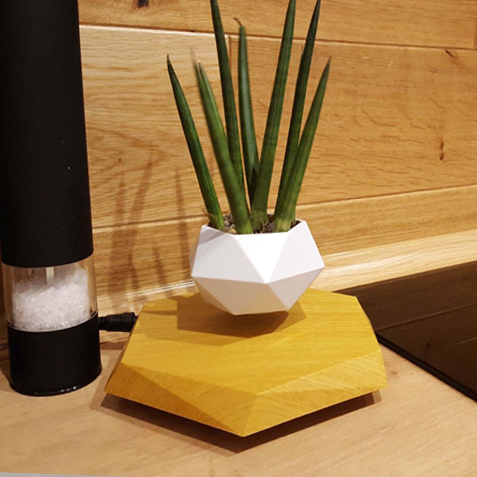 Levitating Magnetic Plant Pot - Covaura