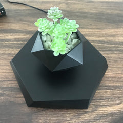 Levitating Magnetic Plant Pot - Covaura